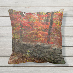 Autumn Leaves Picture -Fall Leaves Throw Pillow
