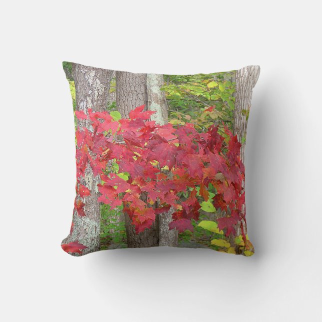 Autumn Leaves Pillow (Front)