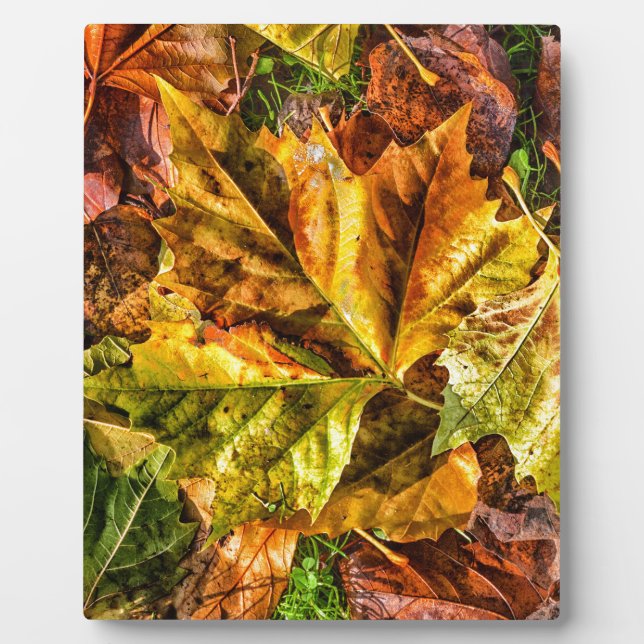 Autumn leaves plaque (Front)