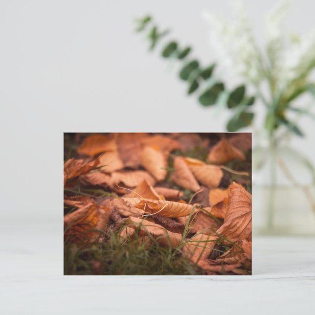 Autumn leaves postcard (Standing Front)