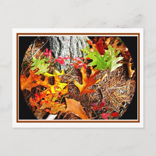 Autumn Leaves Postcard (Front)