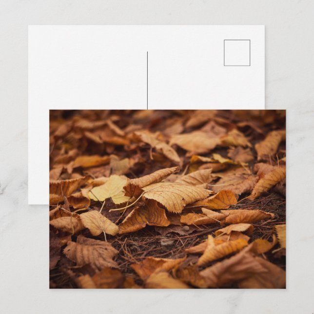 Autumn leaves postcard (Front/Back)
