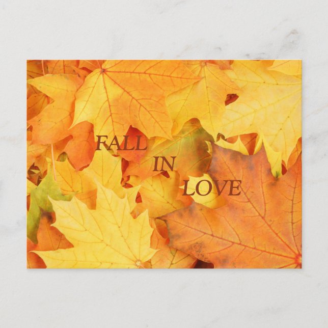Autumn Leaves Postcard (Front)