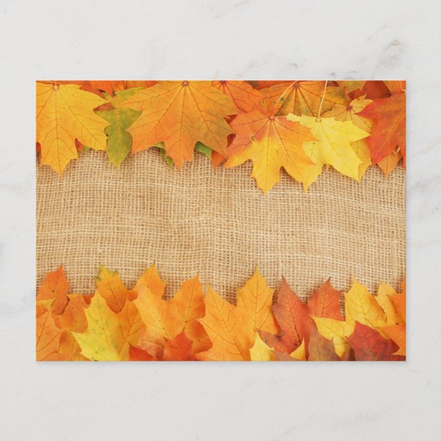 Autumn leaves postcard (Front)