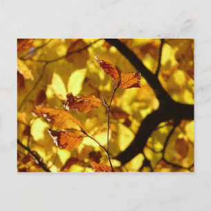 Autumn leaves postcard yellow mustard