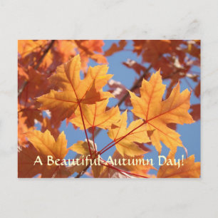 Autumn Leaves postcards Beautiful Autumn Day