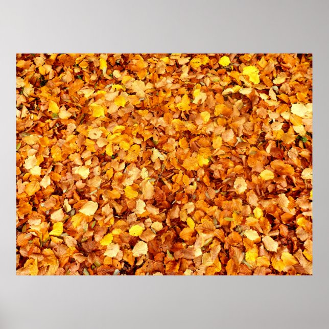 Autumn Leaves Poster (Front)