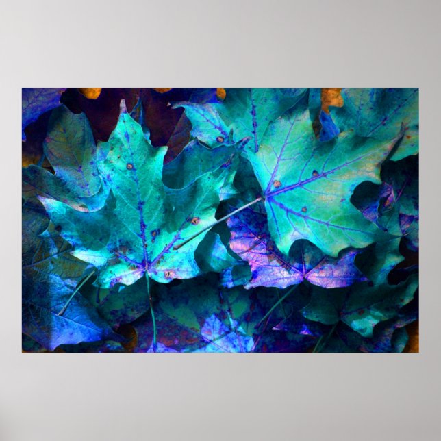 Autumn leaves poster (Front)