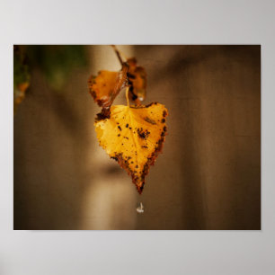 Autumn Leaves Poster