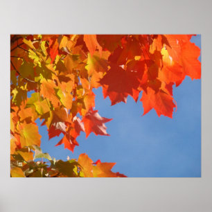 Autumn Leaves posters Blue Sky nature art pritns