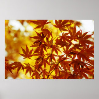 Autumn Leaves Print
