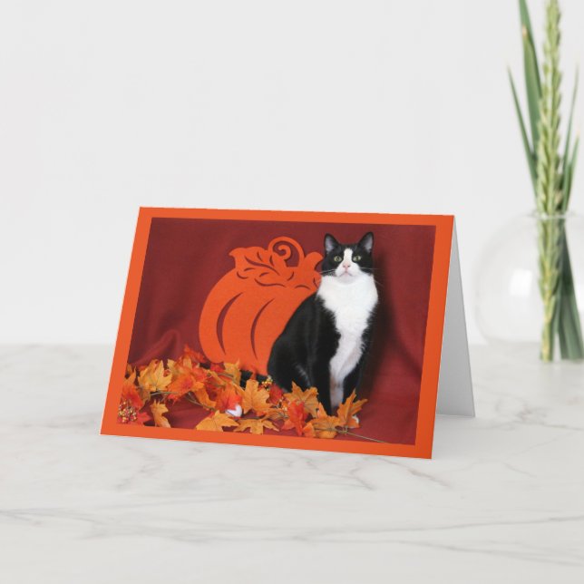 Autumn Leaves, Pumpkin, and Tuxedo Cat Holiday Card (Front)