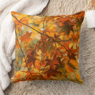 Autumn Leaves Pumpkin Orange Coloured Large Cushion