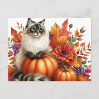 Autumn Leaves Pumpkins and Ragdoll Cat Postcard