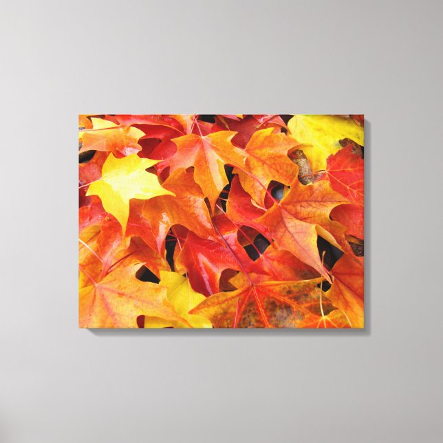 Autumn Leaves Red Yellow Orange Fall Canvas art (Front)