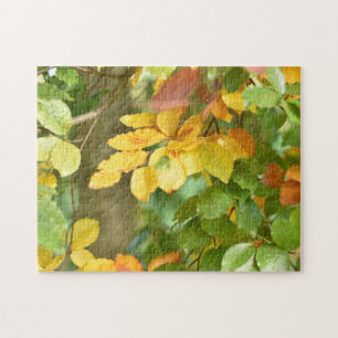 Autumn Leaves Regent's Park London UK Jigsaw Puzzle