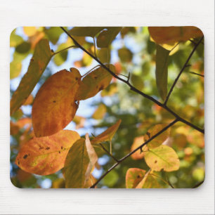 Autumn Leaves Riverside Park New York City NYC Mouse Pad