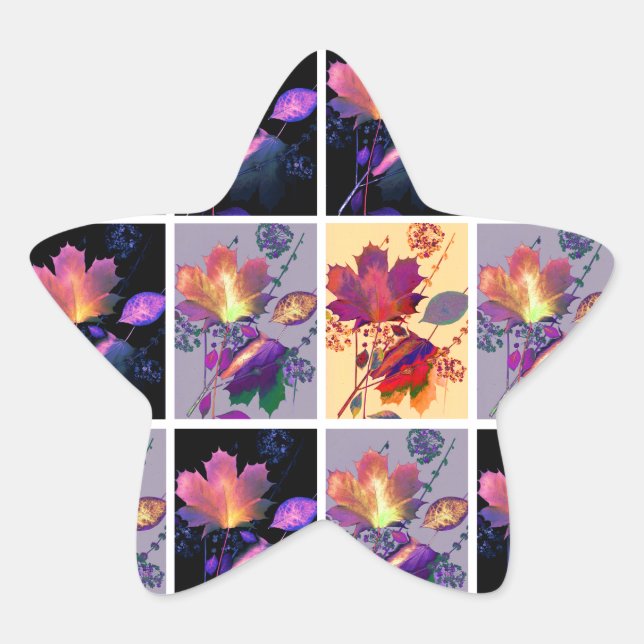 Autumn Leaves Rustic Patchwork Quilt Collage Star Sticker (Front)