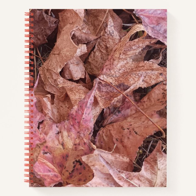 Autumn Leaves Spiral Journal  (Front)