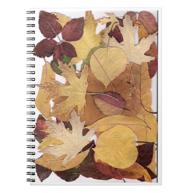 Autumn Leaves Spiral Notebook (Front)