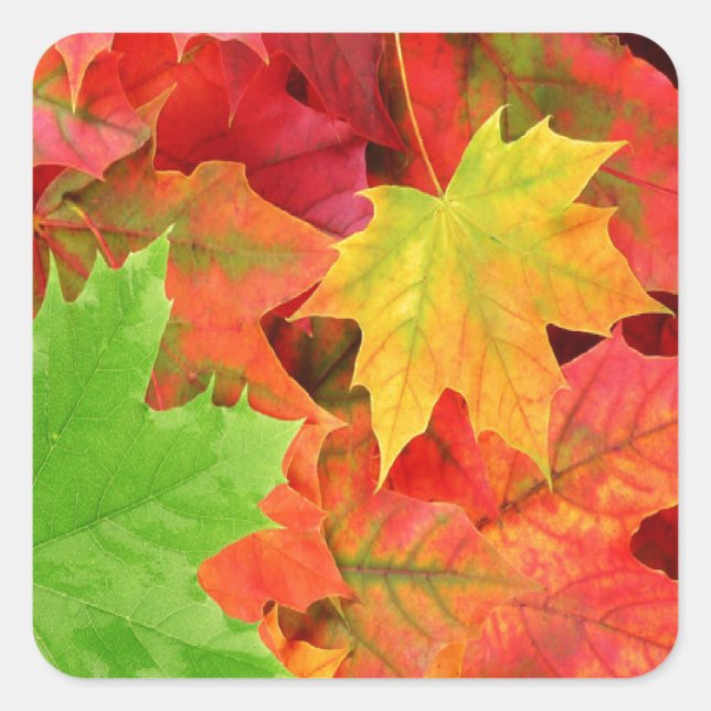 AUTUMN LEAVES SQUARE STICKER (Front)