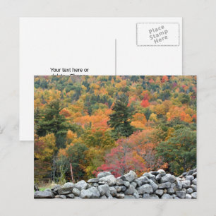 Autumn Leaves Stone Wall Personalised Postcard