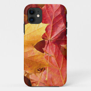 Autumn leaves - Stunning! iPhone 11 Case