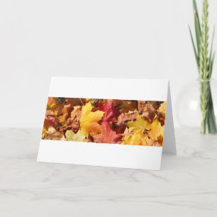 Autumn leaves - Stunning! Holiday Card