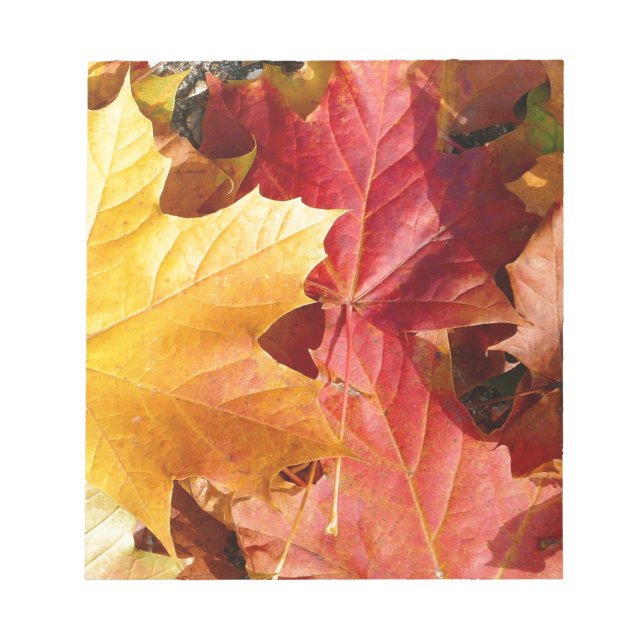 Autumn leaves - Stunning! Notepad (Front)