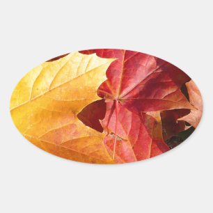 Autumn leaves - Stunning! Oval Sticker