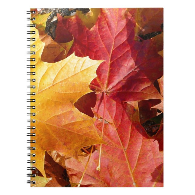 Autumn leaves - Stunning! Spiral Notebook (Front)