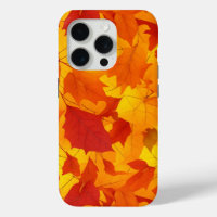 Autumn leaves styled design