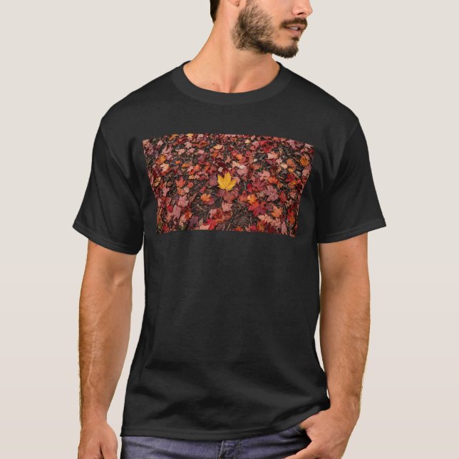Autumn leaves  T-Shirt (Front)