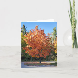 Autumn leaves thank you card
