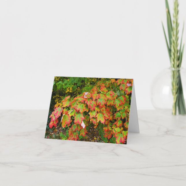 Autumn leaves thank you card (Front)
