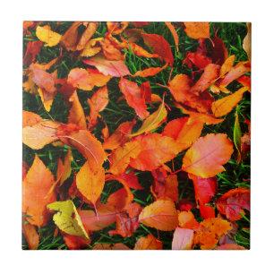 Autumn Leaves Tile