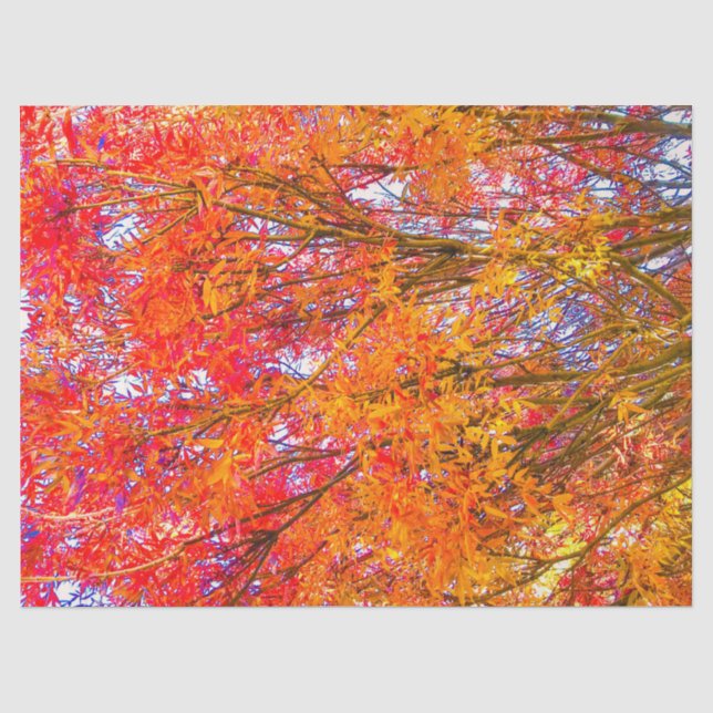 Autumn Leaves Tissue Paper (Front)