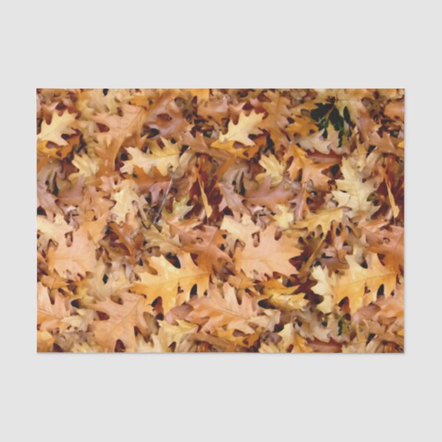 AUTUMN LEAVES TISSUE PAPER (Front)
