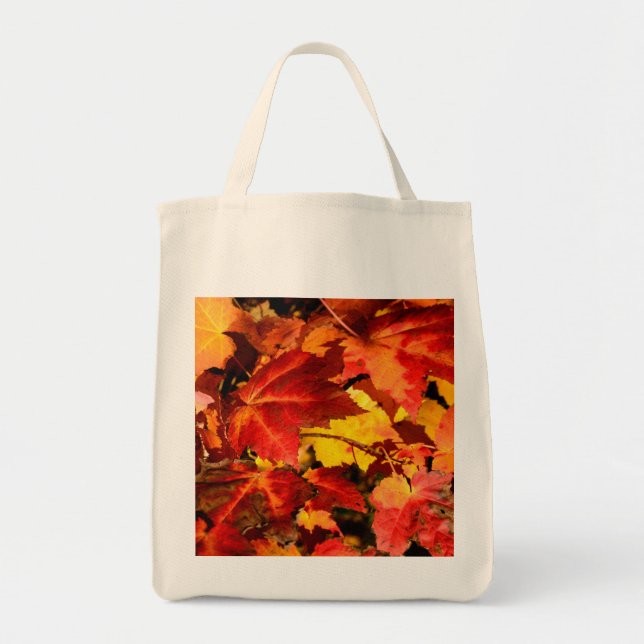 Autumn leaves tote bag (Front)