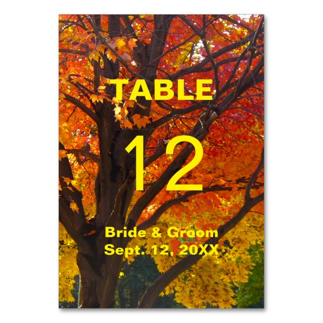 Autumn Leaves Wedding Table Card (Front)