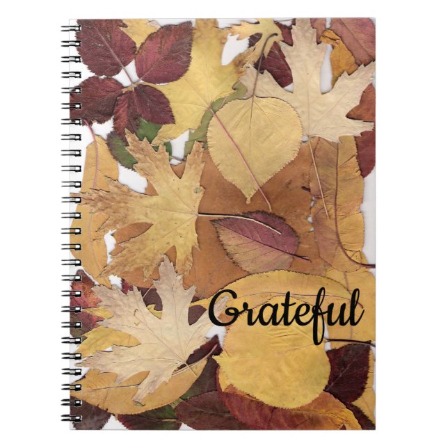 Autumn Leaves with Grateful Notebook (Front)