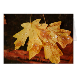 Autumn Leaves with Raindrops, Blank Inside