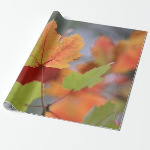 Autumn leaves wrapping paper