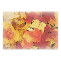 Autumn Leaves Wrapping Paper Flat Sheet Set of 3