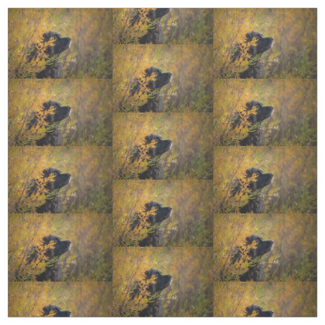 Autumn Leonberger Fabric (Swatch)