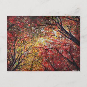 Autumn Light Postcard