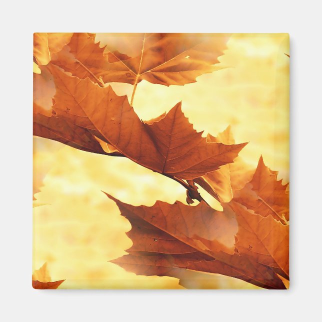Autumn Magnet (Front)