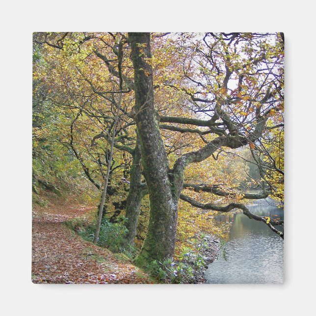 AUTUMN MAGNET (Front)