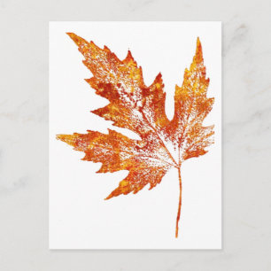 "Autumn Maple #1" Country Roads Postcard