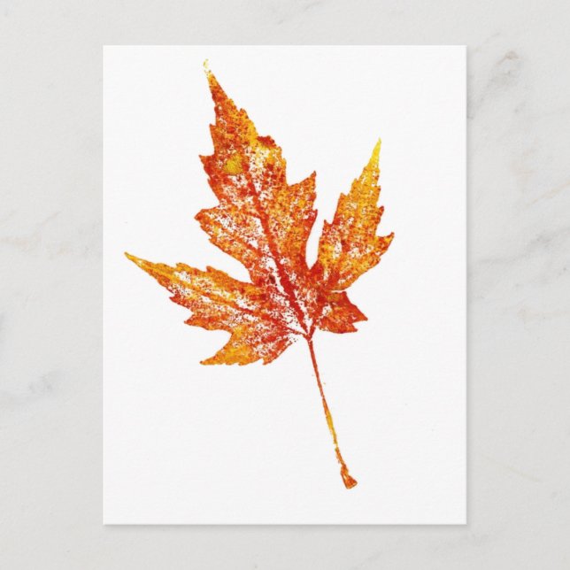 "Autumn Maple #2" Country Roads Postcard (Front)